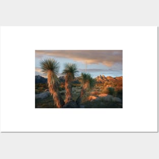 Yucca And Organ Mountains Near Las Cruces Posters and Art